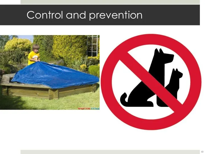 Control and prevention