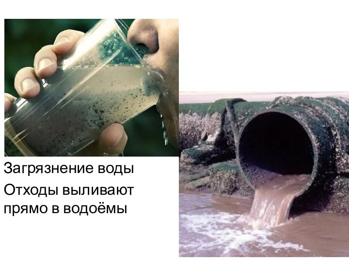 Загрязнение воды Отходы выливают прямо в водоёмы