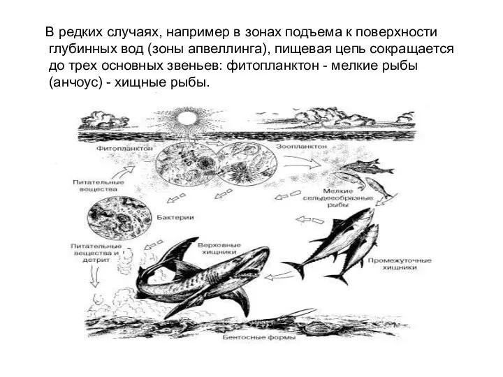 В редких случаях, например в зонах подъема к поверхности глубинных вод