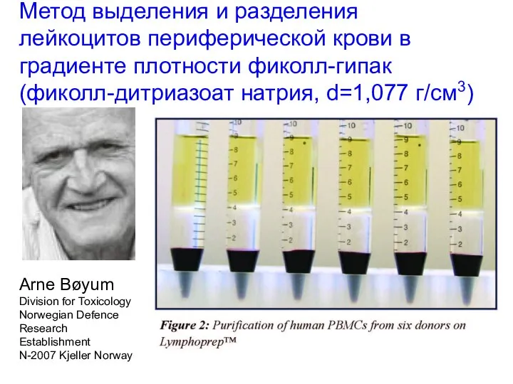 Arne Bøyum Division for Toxicology Norwegian Defence Research Establishment N-2007 Kjeller