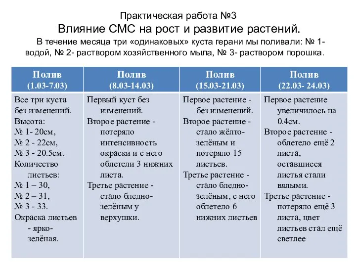 Практическая работа №3 Влияние СМС на рост и развитие растений. В