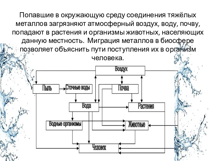 Попавшие в окружающую среду соединения тяжёлых металлов загрязняют атмосферный воздух, воду,