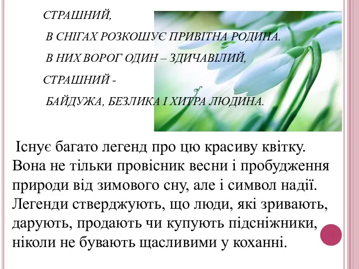 УВАГА!!!!!!!!! СМІЛИВИМ ПІДСНІЖНИКАМ МОРОЗ НЕ СТРАШНИЙ, В СНІГАХ РОЗКОШУЄ ПРИВІТНА РОДИНА.