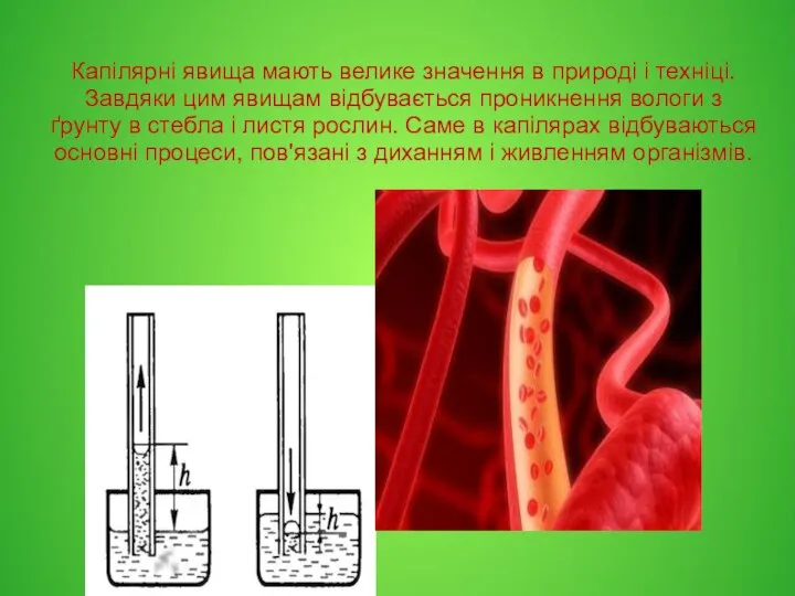 Капілярні явища мають велике значення в природі і техніці. Завдяки цим