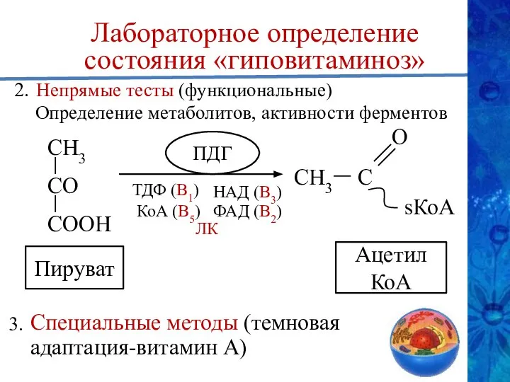 Лабораторное определение состояния «гиповитаминоз» Непрямые тесты (функциональные) Определение метаболитов, активности ферментов