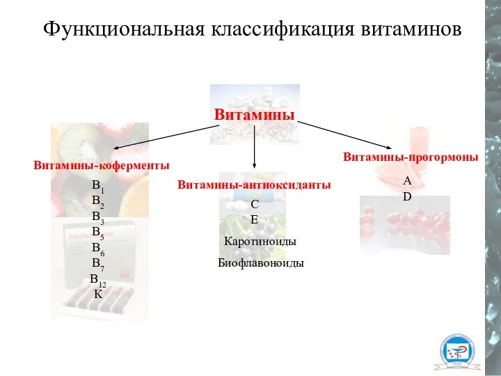 Функциональная классификация витаминов Витамины Витамины-коферменты В1 В2 В6 В12 В3 В5