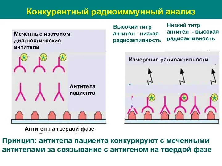 Конкурентный радиоиммунный анализ Высокий титр антител - низкая радиоактивность Низкий титр