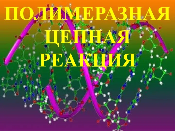 ПОЛИМЕРАЗНАЯ ЦЕПНАЯ РЕАКЦИЯ