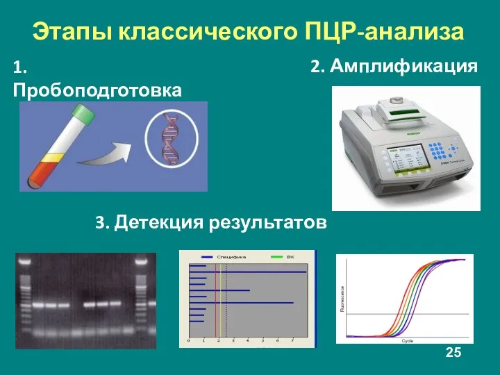 1. Пробоподготовка 2. Амплификация Этапы классического ПЦР-анализа 3. Детекция результатов