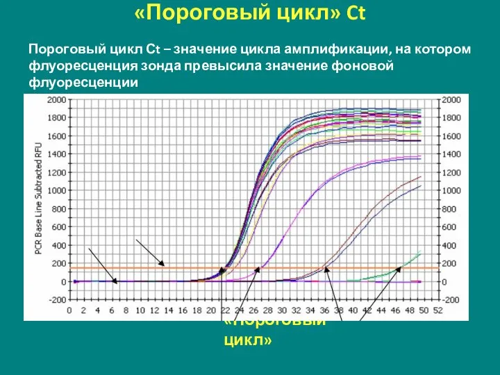 «Пороговый цикл» Ct «Фон» «Порог» «Пороговый цикл» Пороговый цикл Сt –