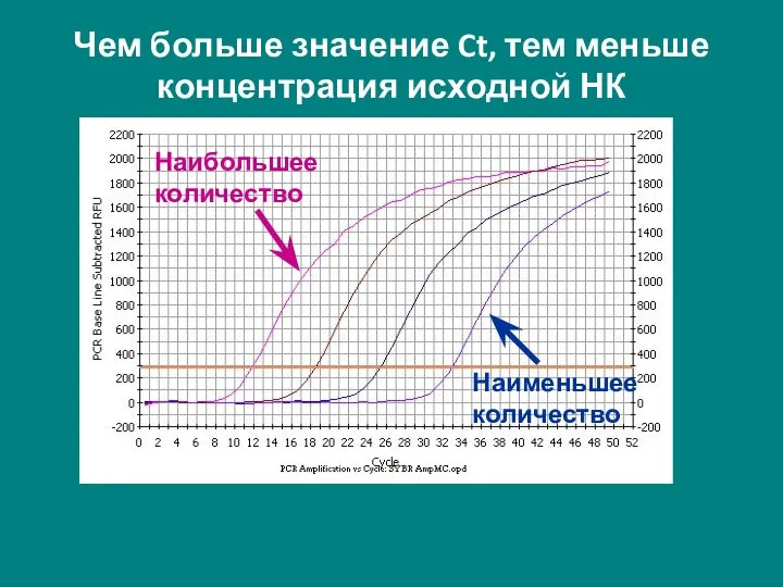 Наименьшее количество Наибольшее количество Чем больше значение Ct, тем меньше концентрация исходной НК