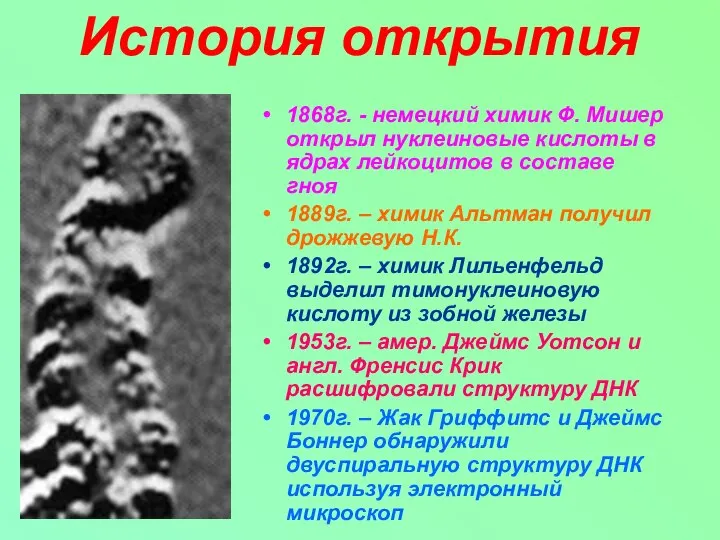 История открытия 1868г. - немецкий химик Ф. Мишер открыл нуклеиновые кислоты