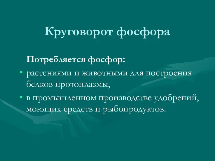 Круговорот фосфора Потребляется фосфор: растениями и животными для построения белков протоплазмы,