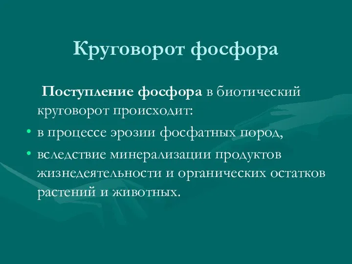 Круговорот фосфора Поступление фосфора в биотический круговорот происходит: в процессе эрозии