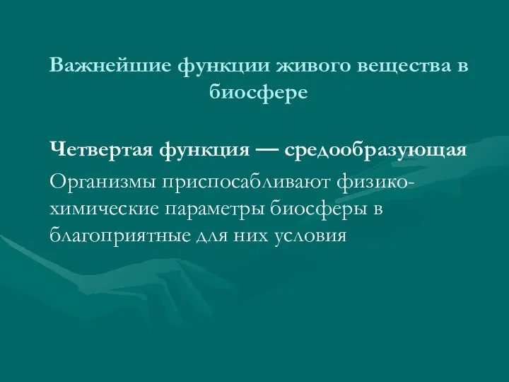 Важнейшие функции живого вещества в биосфере Четвертая функция — средообразующая Организмы