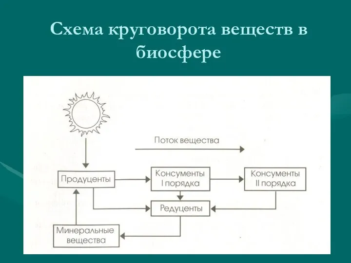 Схема круговорота веществ в биосфере