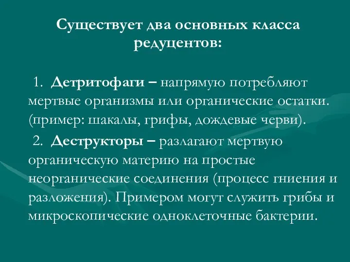 1. Детритофаги – напрямую потребляют мертвые организмы или органические остатки. (пример: