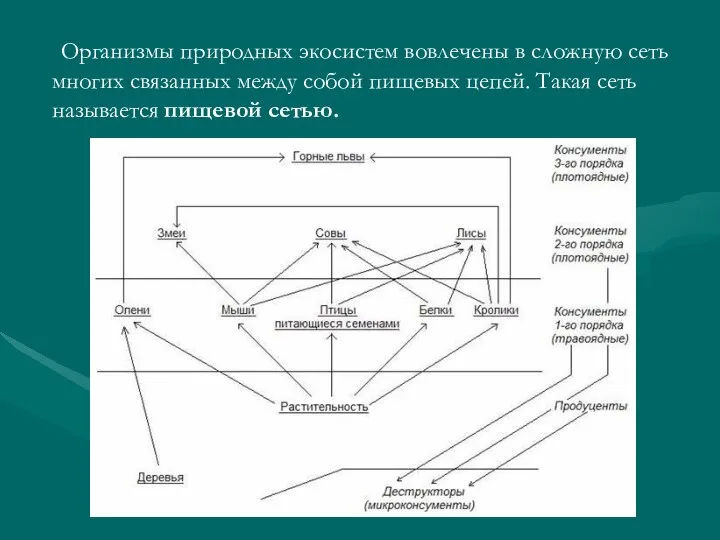 Организмы природных экосистем вовлечены в сложную сеть многих связанных между собой