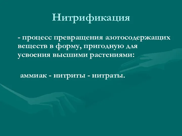 Нитрификация - процесс превращения азотосодержащих веществ в форму, пригодную для усвоения