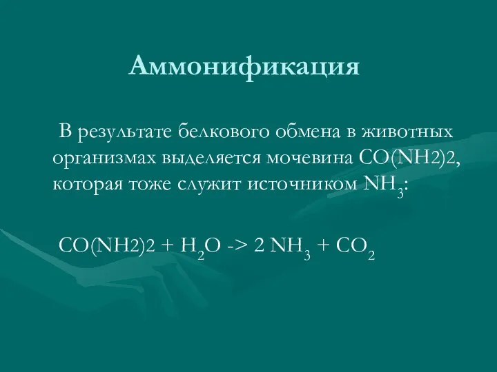 В результате белкового обмена в животных организмах выделяется мочевина CO(NH2)2, которая