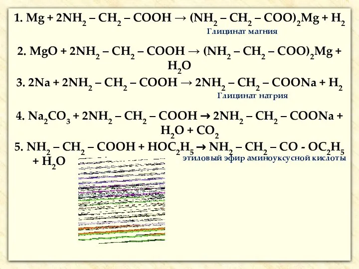 1. Mg + 2NH2 – CH2 – COOH → (NH2 –