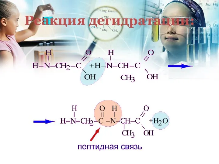 Реакция дегидратации: