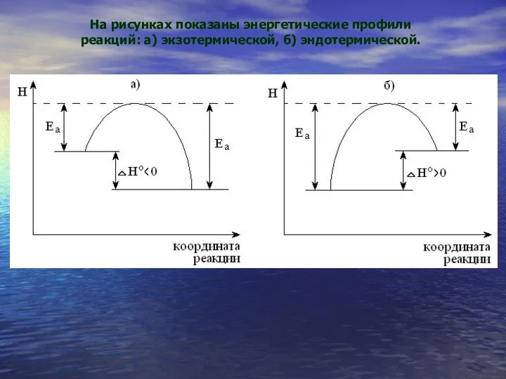 На рисунках показаны энергетические профили реакций: а) экзотермической, б) эндотермической.