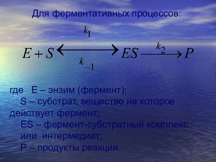 Для ферментативных процессов: где Е – энзим (фермент); S – субстрат,