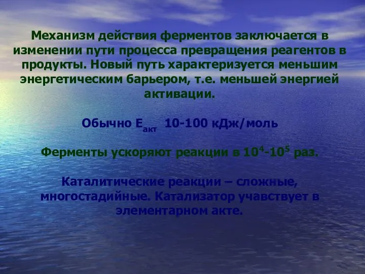 Механизм действия ферментов заключается в изменении пути процесса превращения реагентов в