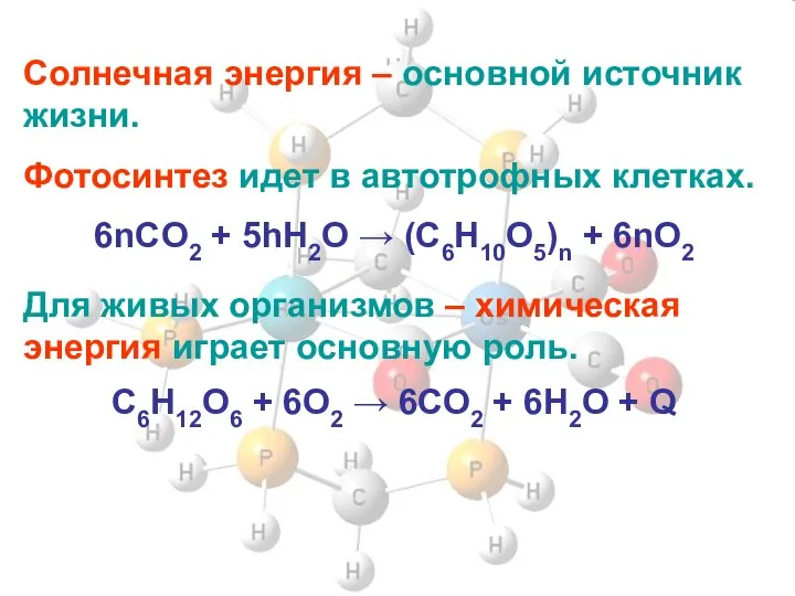 Солнечная энергия – основной источник жизни. Фотосинтез идет в автотрофных клетках.