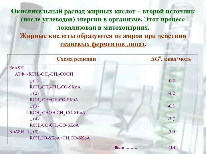 Окислительный распад жирных кислот – второй источник (после углеводов) энергии в