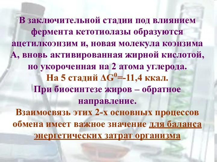 В заключительной стадии под влиянием фермента кетотиолазы образуются ацетилкоэнзим и, новая