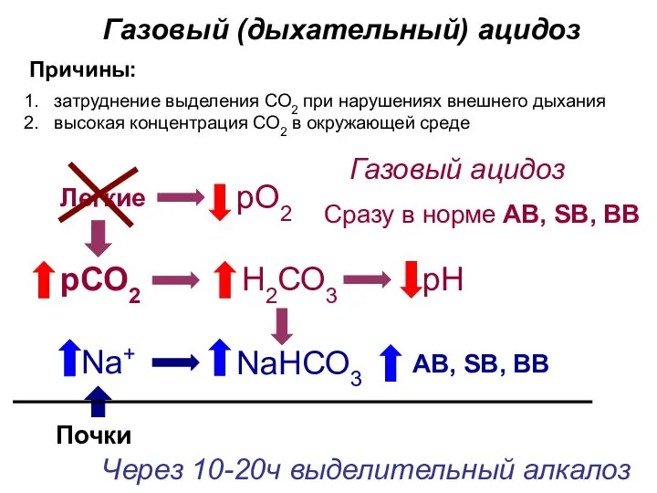 Газовый (дыхательный) ацидоз затруднение выделения СО2 при нарушениях внешнего дыхания высокая