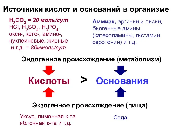 Источники кислот и оснований в организме Кислоты > Основания Экзогенное происхождение