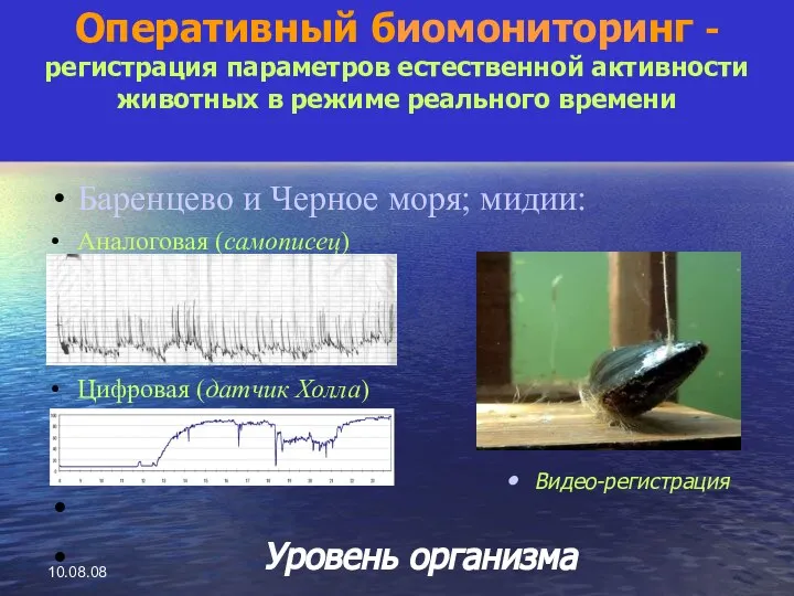 10.08.08 Баренцево и Черное моря; мидии: Аналоговая (самописец) Цифровая (датчик Холла)