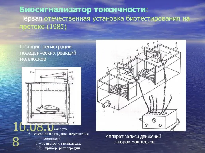 10.08.08 Биосигнализатор токсичности: Первая отечественная установка биотестирования на протоке (1985) Принцип