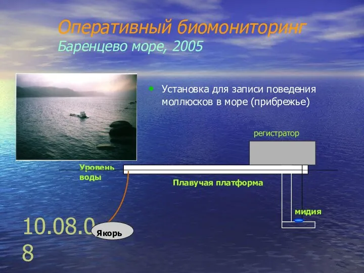 10.08.08 Оперативный биомониторинг Баренцево море, 2005 Установка для записи поведения моллюсков в море (прибрежье)