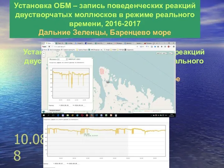 10.08.08 Установка ОБМ – запись поведенческих реакций двустворчатых моллюсков в режиме