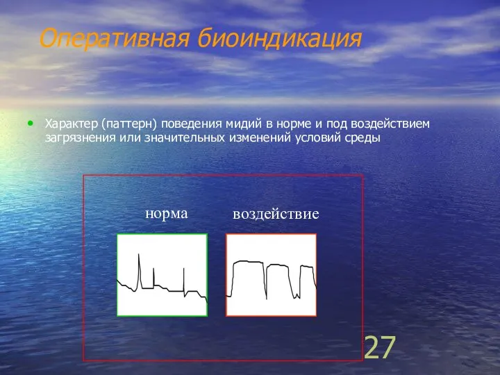 Оперативная биоиндикация Характер (паттерн) поведения мидий в норме и под воздействием