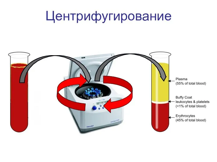 Центрифугирование