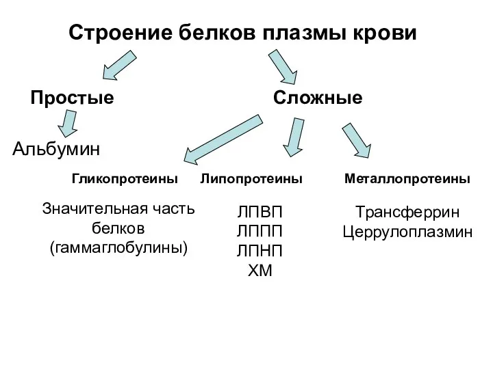 Строение белков плазмы крови Простые Сложные Альбумин Гликопротеины Липопротеины Металлопротеины Значительная