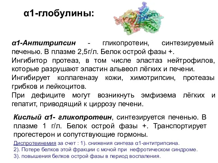 α1-Антитрипсин - гликопротеин, синтезируемый печенью. В плазме 2,5г/л. Белок острой фазы