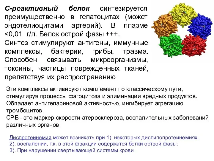 С-реактивный белок синтезируется преимущественно в гепатоцитах (может эндотелиоцитами артерий). В плазме