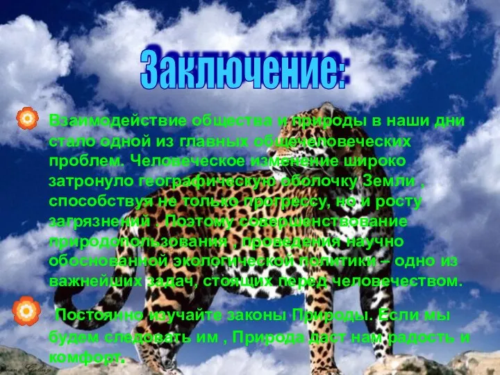 Взаимодействие общества и природы в наши дни стало одной из главных