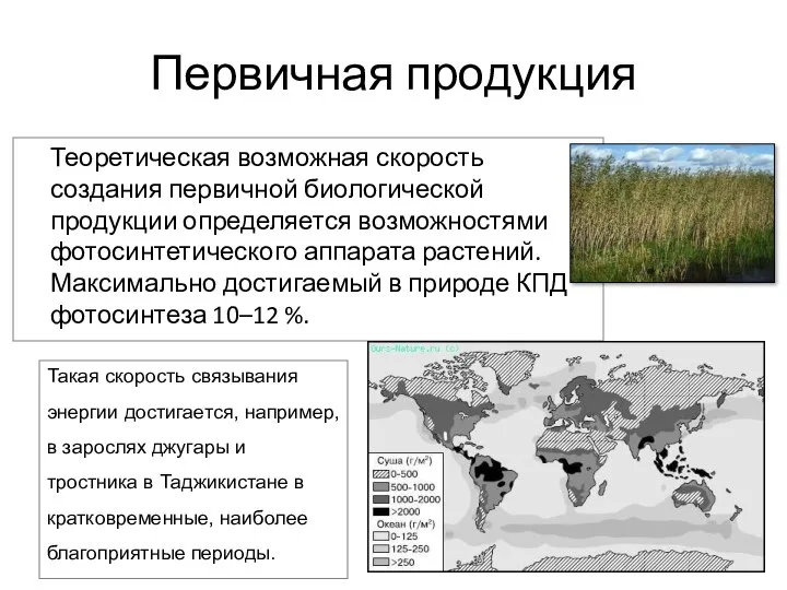 Первичная продукция Теоретическая возможная скорость создания первичной биологической продукции определяется возможностями