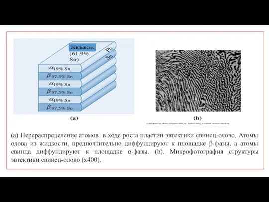 Жидкость (a) Перераспределение атомов в ходе роста пластин эвтектики свинец-олово. Атомы