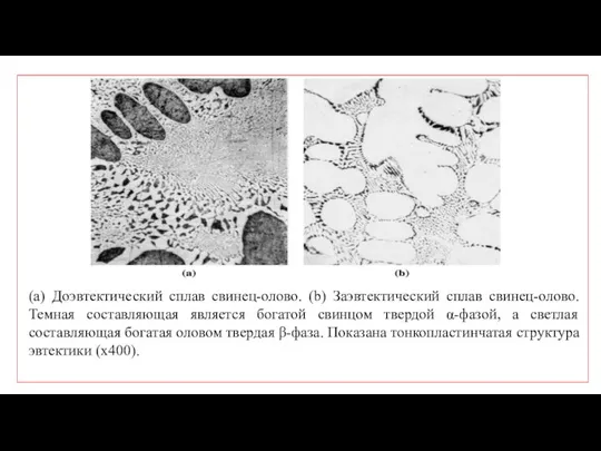 (a) Доэвтектический сплав свинец-олово. (b) Заэвтектический сплав свинец-олово. Темная составляющая является