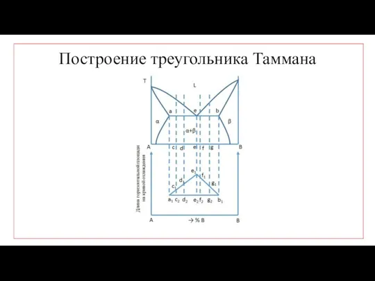 Построение треугольника Таммана