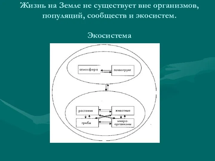 Жизнь на Земле не существует вне организмов, популяций, сообществ и экосистем. Экосистема