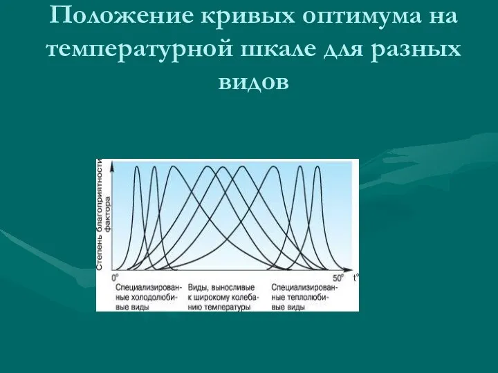 Положение кривых оптимума на температурной шкале для разных видов